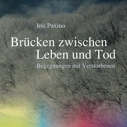 Teaserbild mit dem Cover vom Buch: Brücken zwischen Leben und Tod